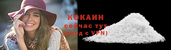 мяу мяу мука Новодвинск