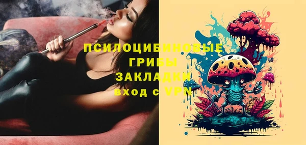 мяу мяу мука Новодвинск